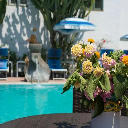 Imperamare بيت ضيافة Forio di Ischia